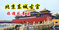 嫩草人妻中国北京-东城古宫旅游风景区
